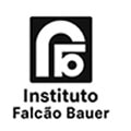 Falcão Bauer