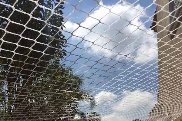 Redes de proteção em Almirante Tamandaré